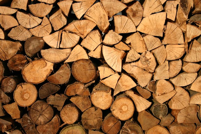 Seasoned hardwood logs showing quality wood grain